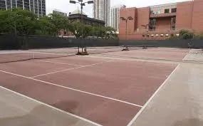 $2,100 | 1455 North Sandburg Terrace, Unit 2903, Chicago, IL 60610