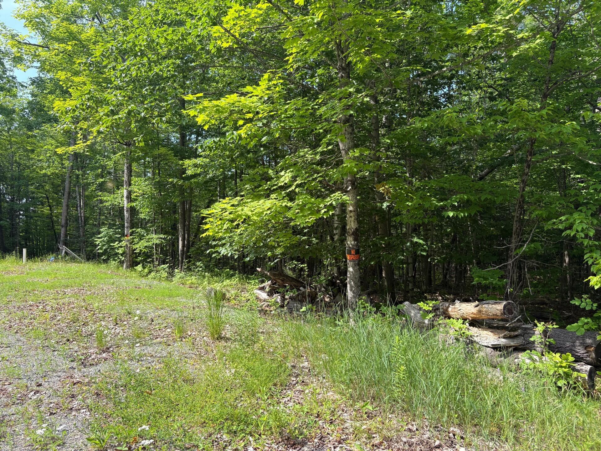560 Morrill Pond Road Hartland, ME 04943 - Photo 3 of 7 Boundary Line