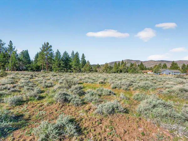 $35,690 | 171 Smithneck Road, Loyalton, CA 96118