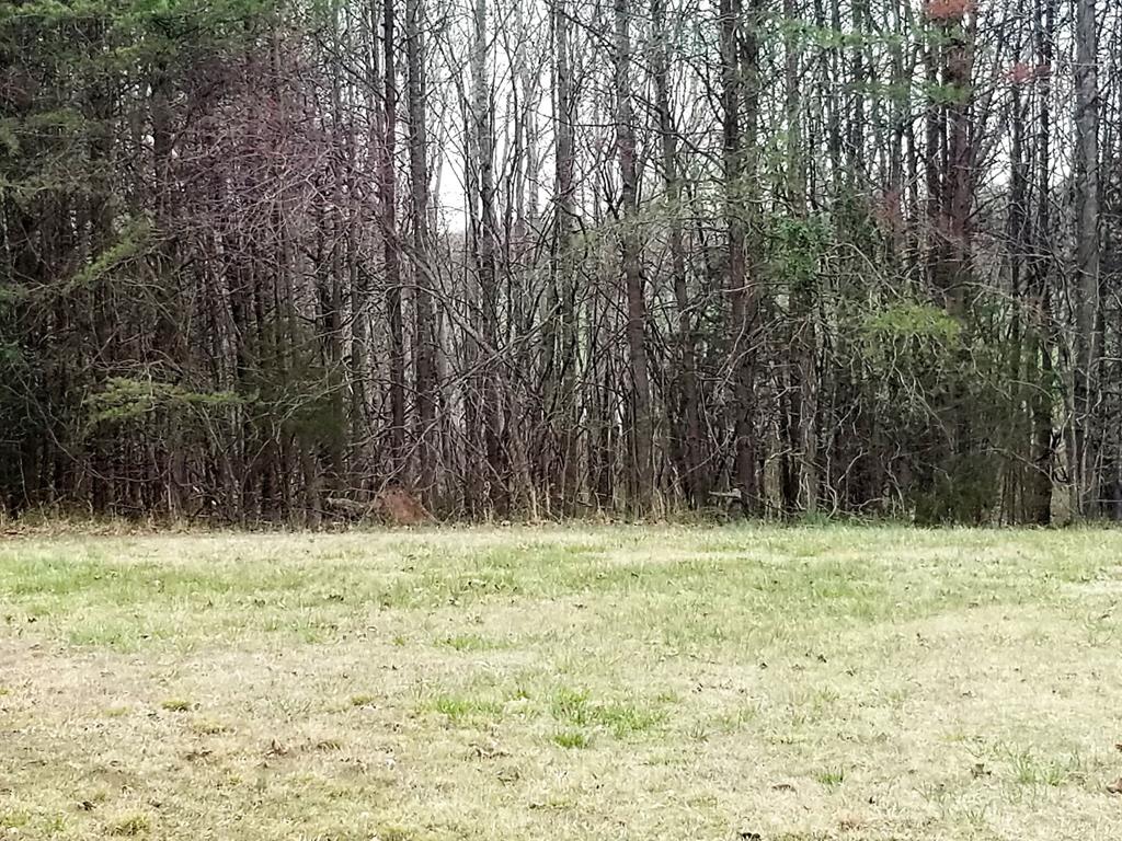 1223 Mount Pleasant Road Pamplin, VA 23958 - Photo 13 of 14 Gallery Image 13