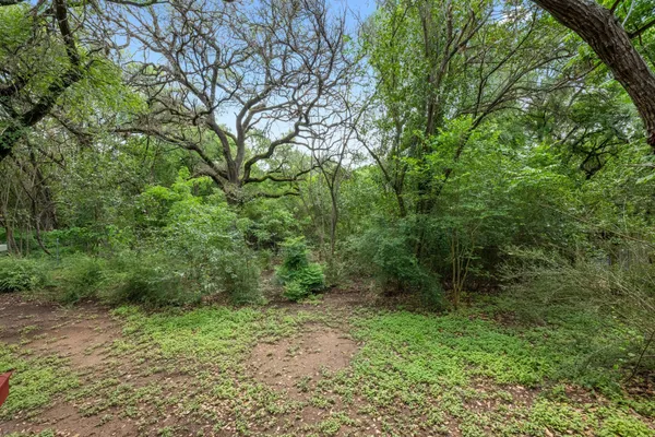 a view of a yard with a tree
