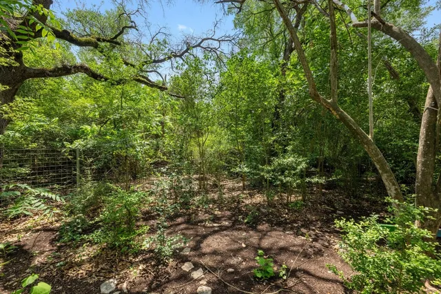 a view of a garden with plants