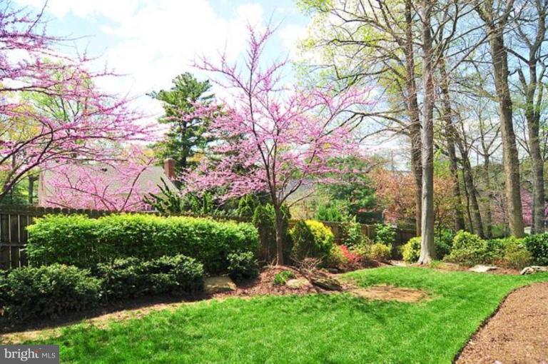 8007 Glendale Road Chevy Chase, MD 20815 - Photo 9 of 27 Back yard