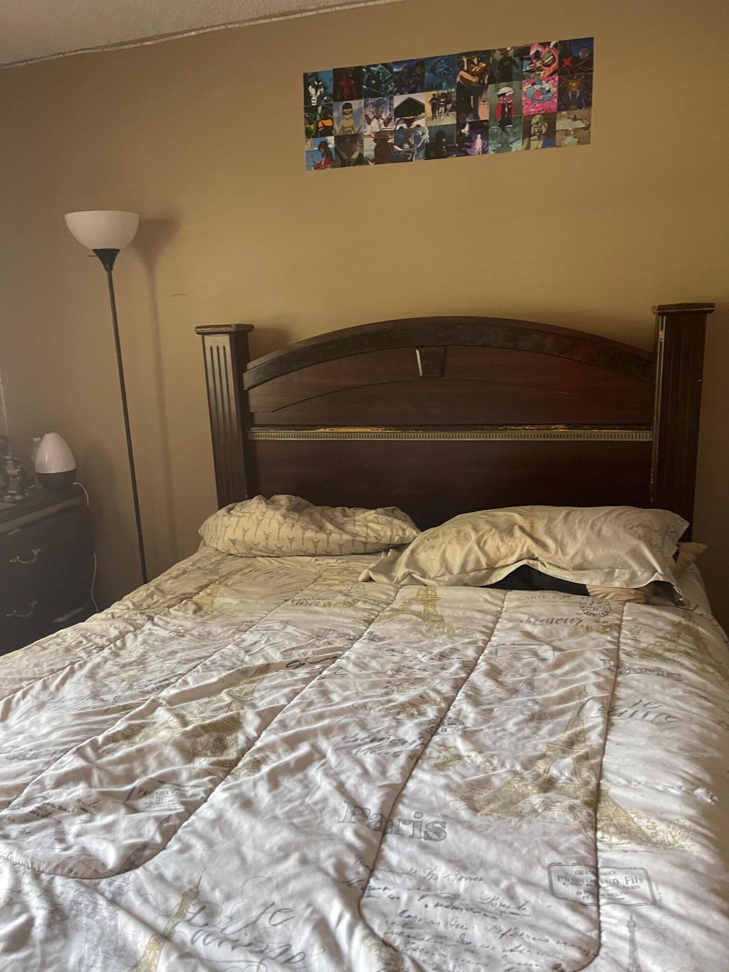 9900 Pineapple Tree Drive, Unit 206 Boynton Beach, FL 33436 - Photo 13 of 18 second Bedroom