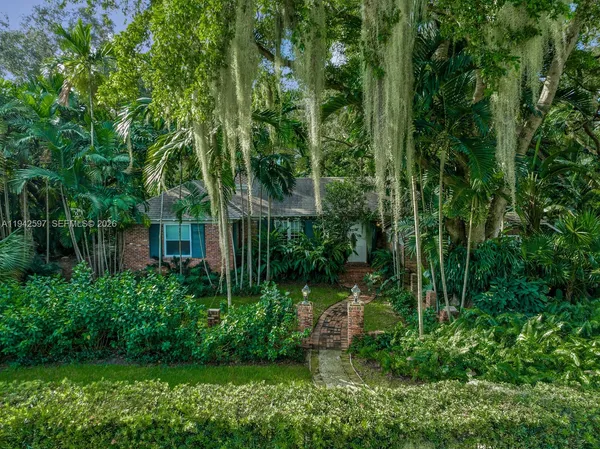 a view of a garden with plants