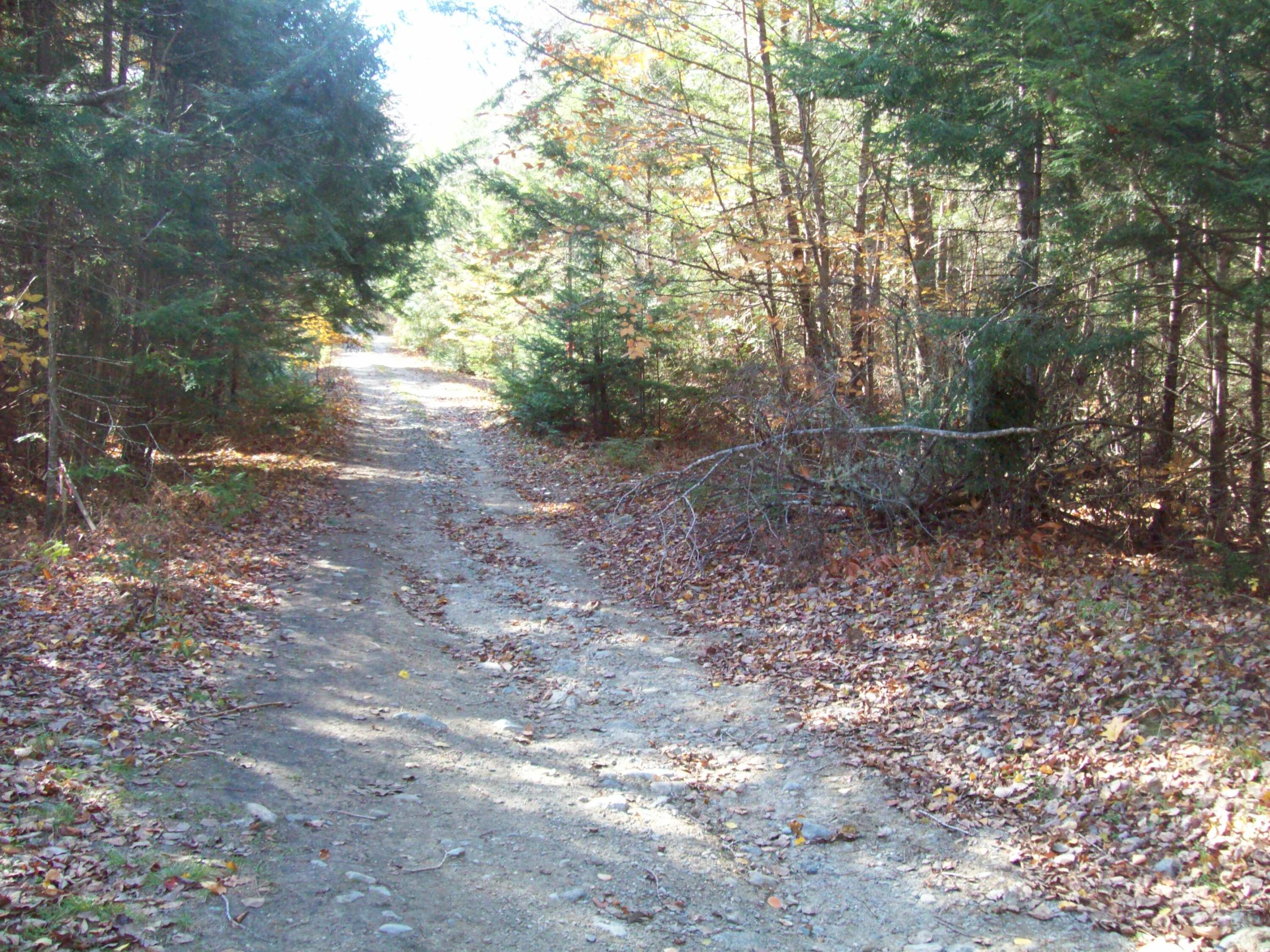 Tbd Hobbs Road Lakeville, ME 04487 - Photo 14 of 15 100_2432