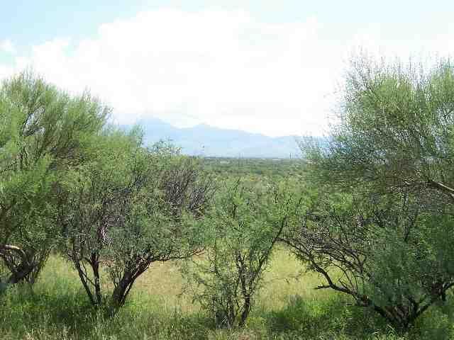 2035 Bowers Court Rio Rico, AZ 85648 - Photo 3 of 8