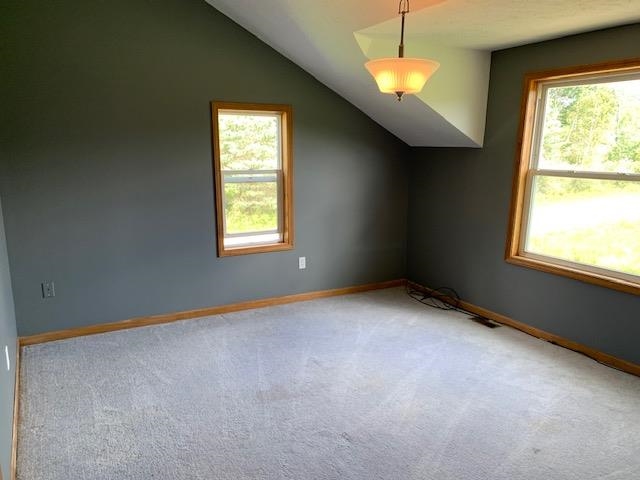 10541 Townline Road Lakeview, MI 48850 - Photo 9 of 17 1892836-8.JPG