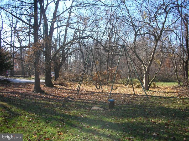 Side Yard