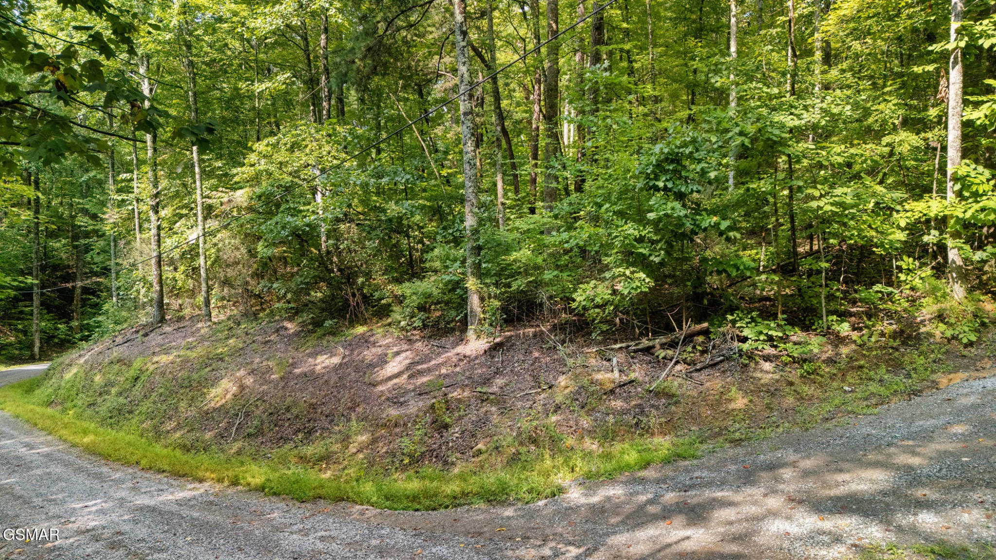 1011 Bluebird Ridge Way Sevierville, TN 37876 - Photo 1 of 20 Gallery Image 1