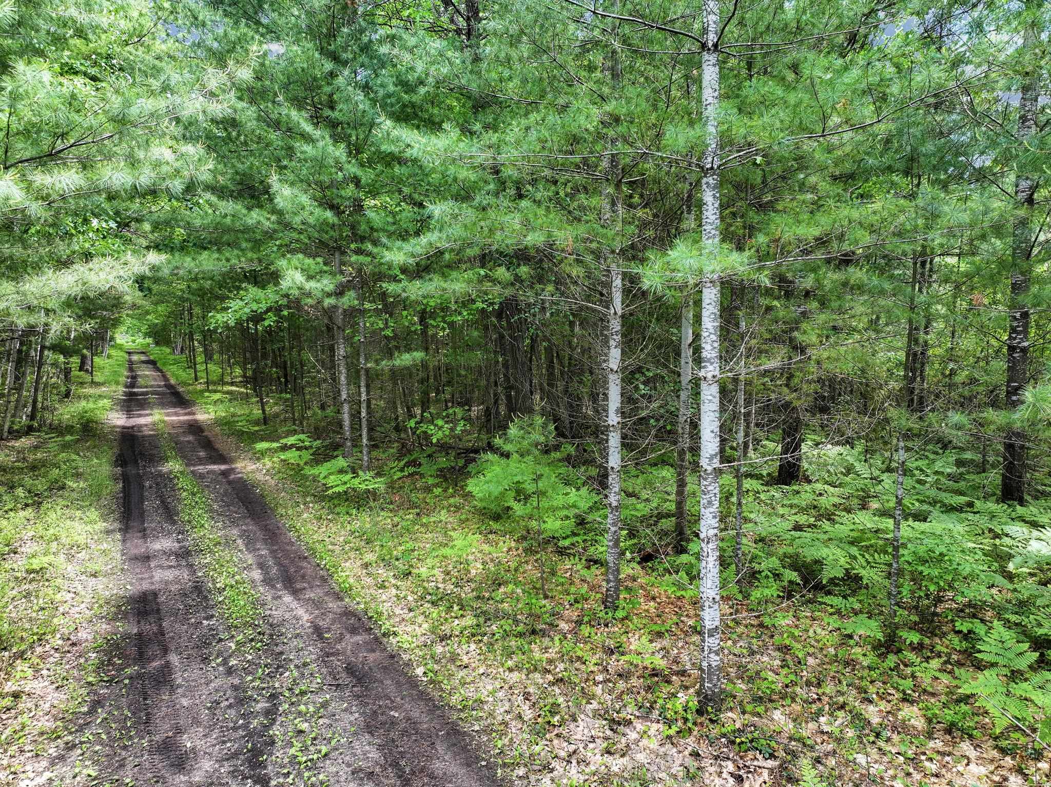 Parcel B Seeley Road Cadillac, MI 49651 - Photo 7 of 17