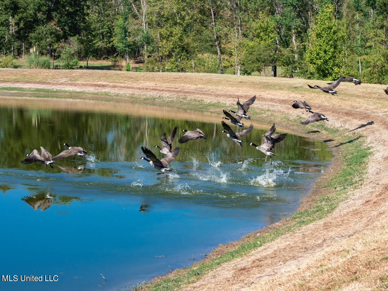515 Harmony Road Crystal Springs, MS 39059 - Photo 12 of 33 15