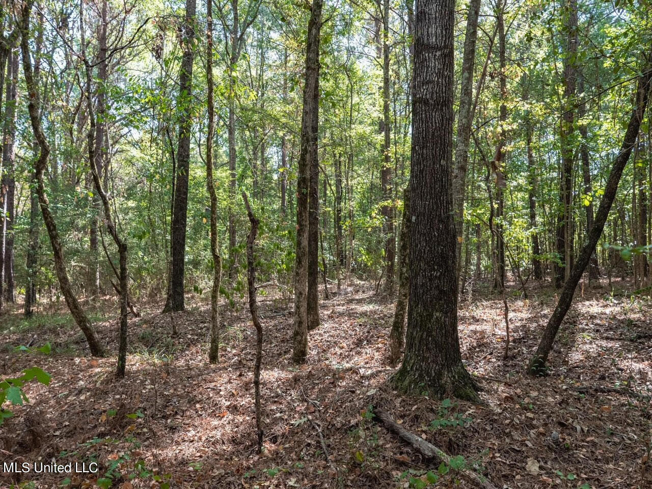 515 Harmony Road Crystal Springs, MS 39059 - Photo 13 of 33 16