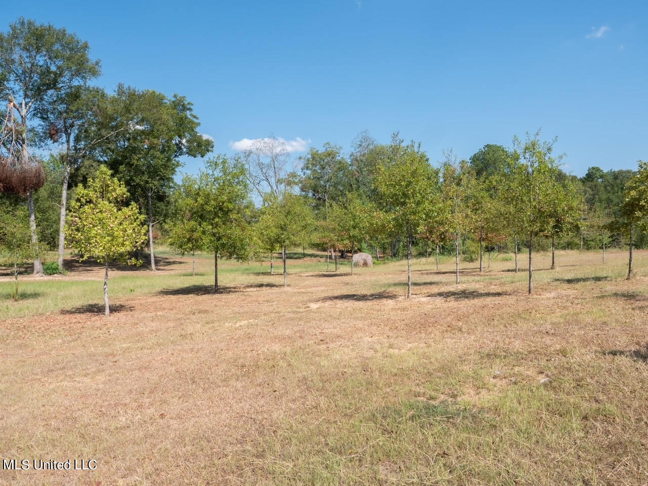 515 Harmony Road Crystal Springs, MS 39059 - Photo 30 of 33 33