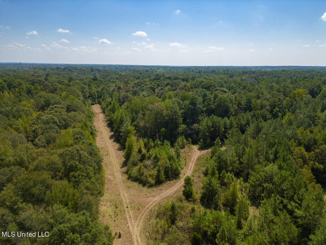 515 Harmony Road Crystal Springs, MS 39059 - Photo 3 of 33 3