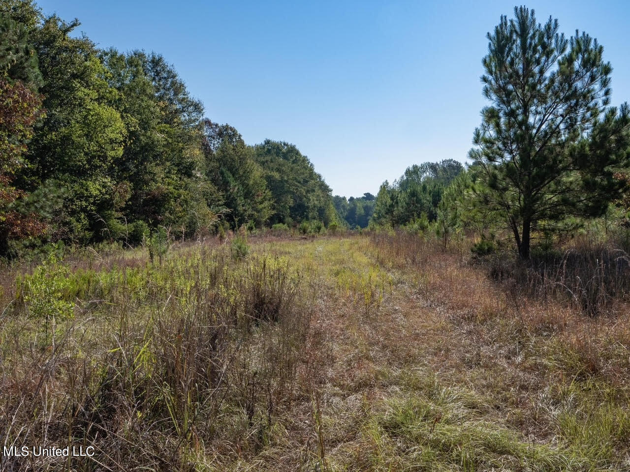 515 Harmony Road Crystal Springs, MS 39059 - Photo 5 of 33 7