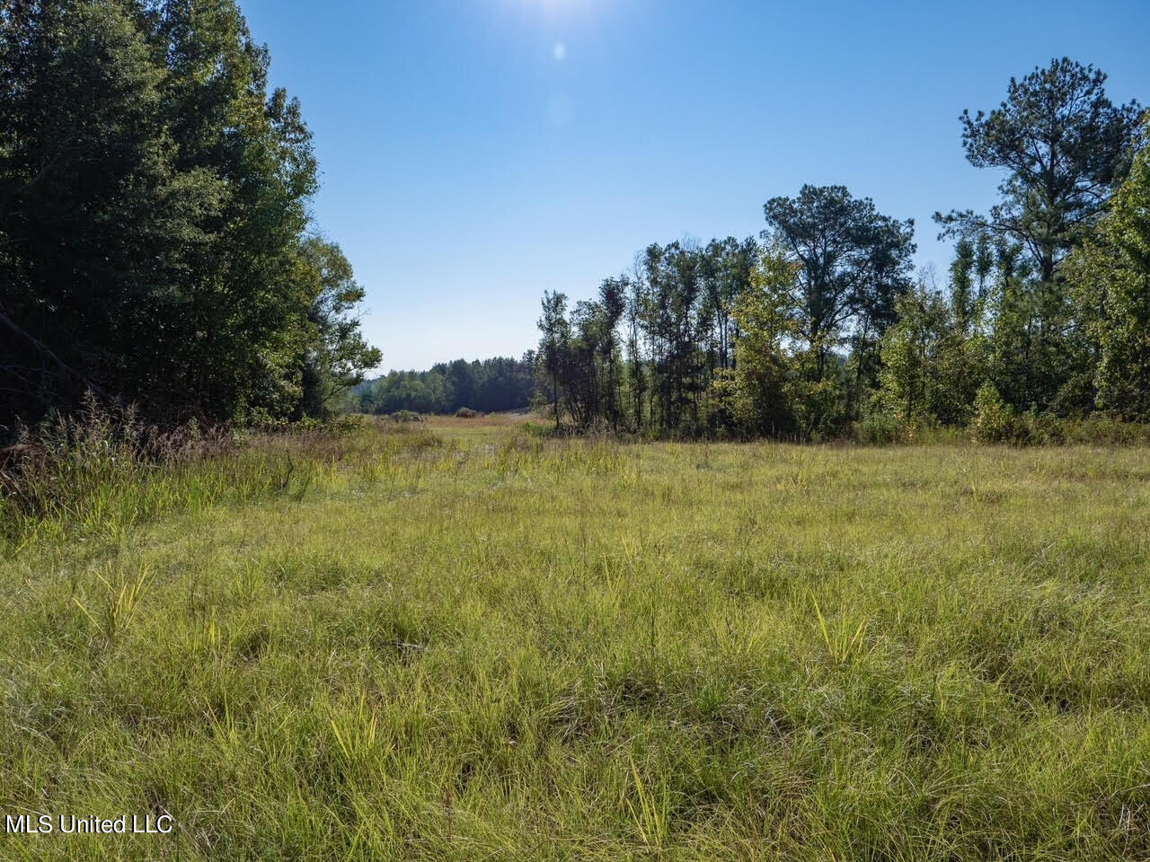 515 Harmony Road Crystal Springs, MS 39059 - Photo 8 of 33 10