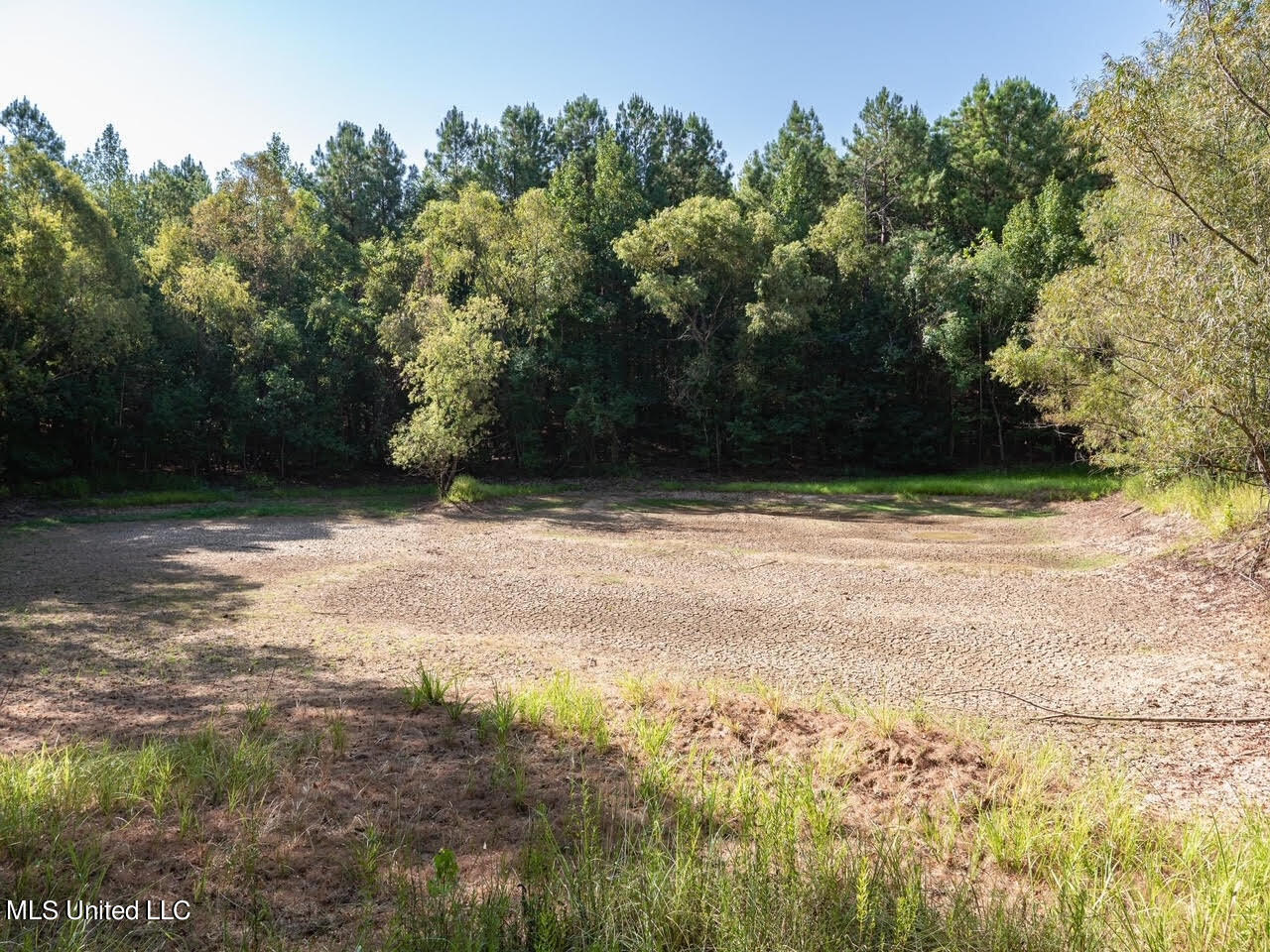 515 Harmony Road Crystal Springs, MS 39059 - Photo 9 of 33 11