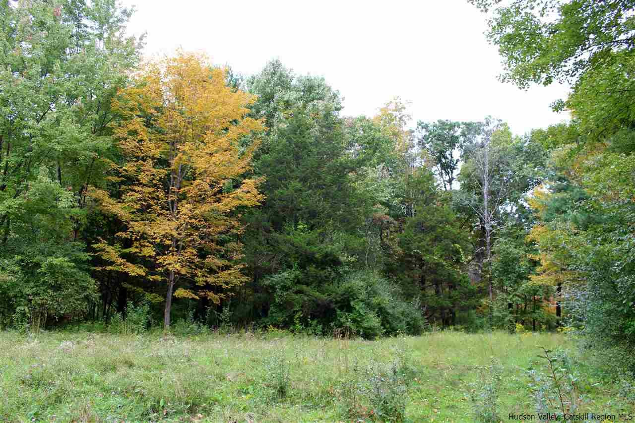 317 Whitfield Road Accord, NY 12404 - Photo 15 of 19 Photo 15