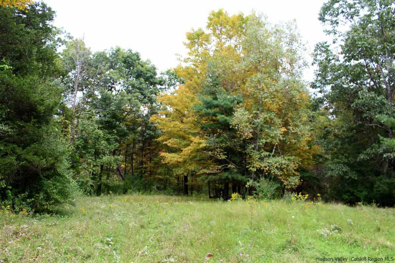 317 Whitfield Road Accord, NY 12404 - Photo 17 of 19 Photo 17