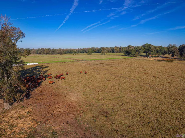 $2,175,000 | 1518 La Highway, Slaughter, LA 70777