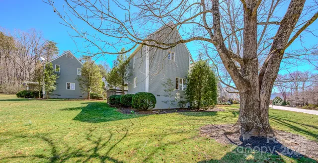 a view of a garden with a tree