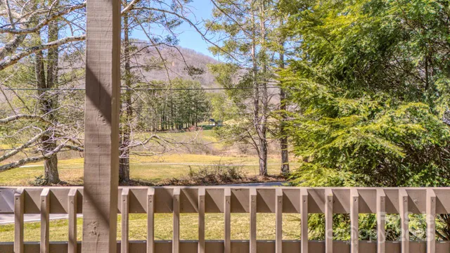 a view of a mountain from a yard