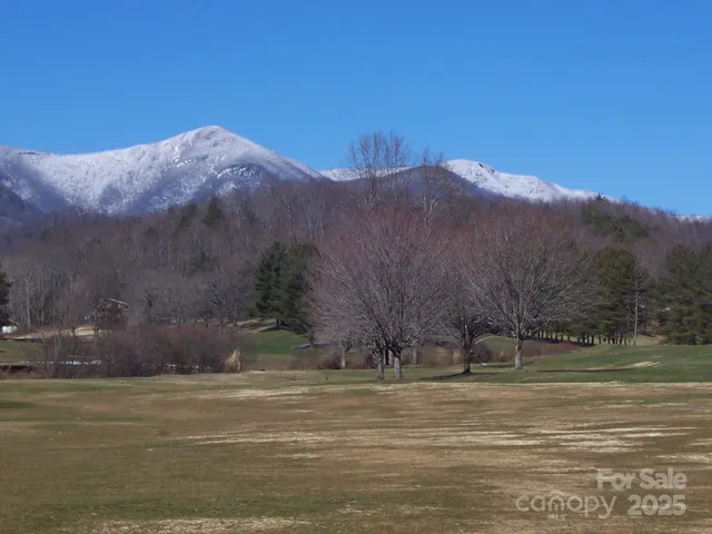 a view of a swimming pool with a yard