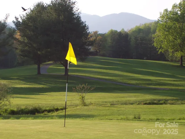 a view of a golf course with a lake view