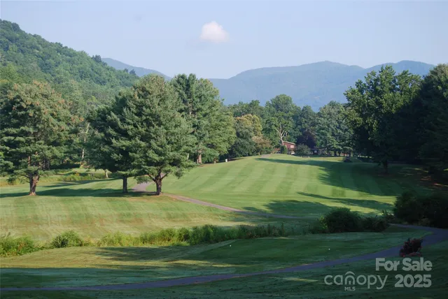 a view of a lake with a mountain in the background