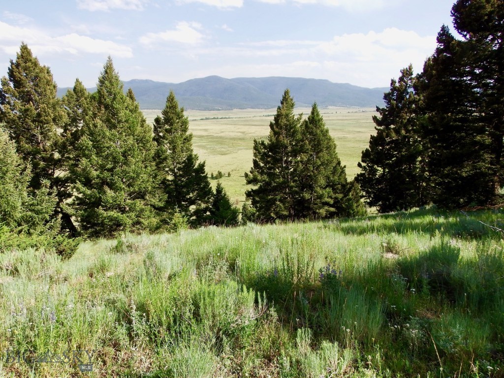 Tbd Tbd Lowland Road Butte, MT 59701 - Photo 1 of 1 Gallery Image 1