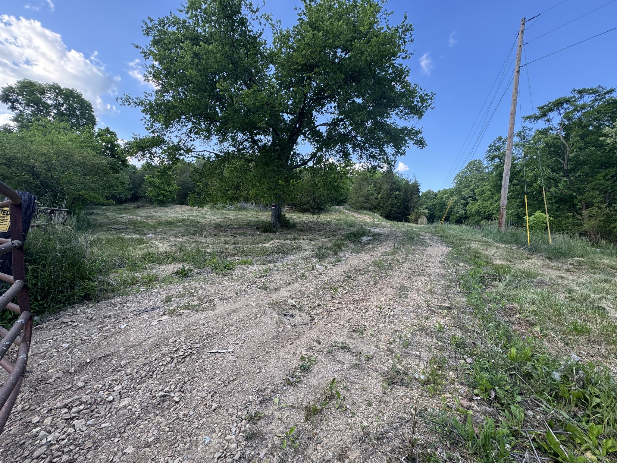 738 Rogues Fork Road Bethpage, TN 37022 - Photo 4 of 16 a view of a yard with a tree