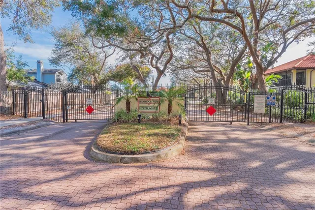 a park view with large trees