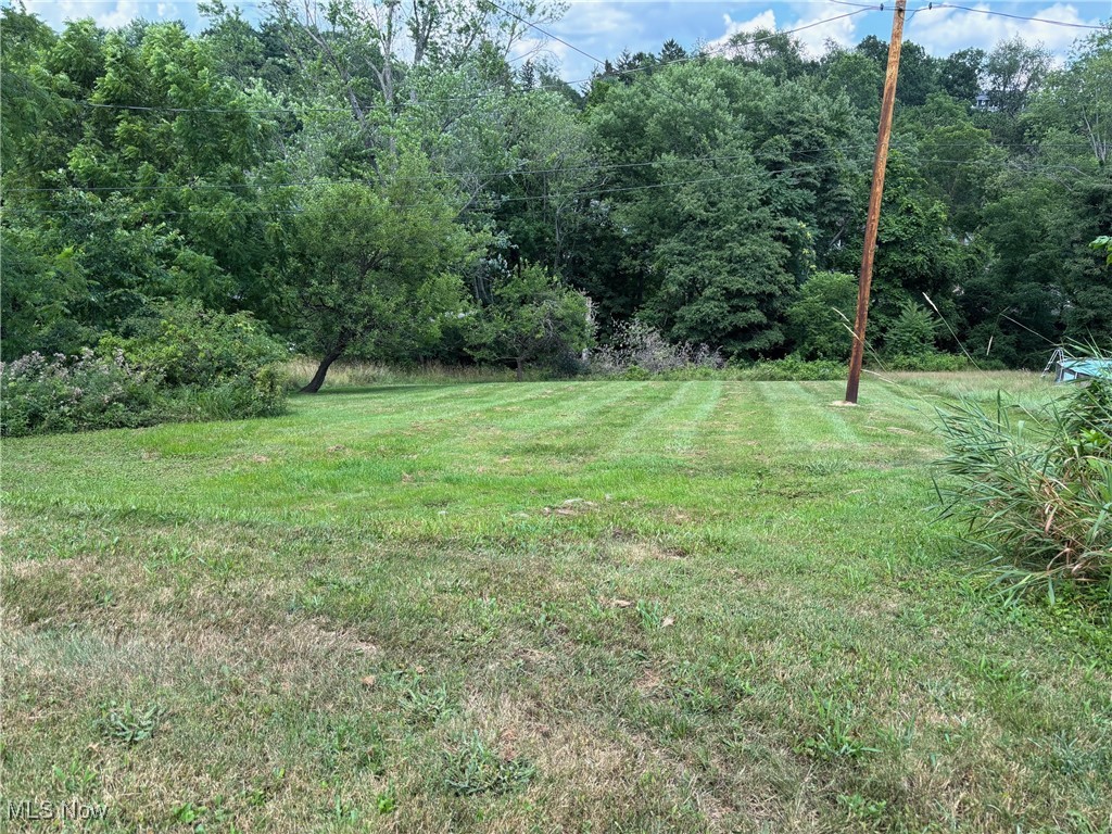 748 Bellview Road Cambridge, OH 43725 - Photo 3 of 20 View of grassy yard with a view of trees