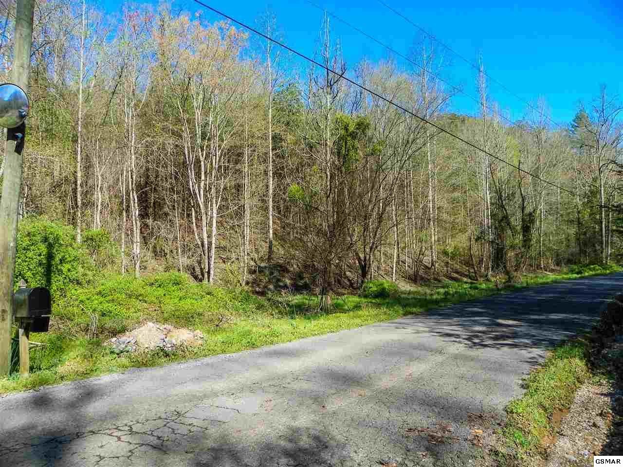 20 Licking Spring Way Sevierville, TN 37876 - Photo 6 of 6