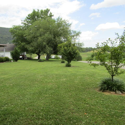 494 Wilson Gap Road Speedwell, TN 37870 - Photo 3 of 24 IMG_3017