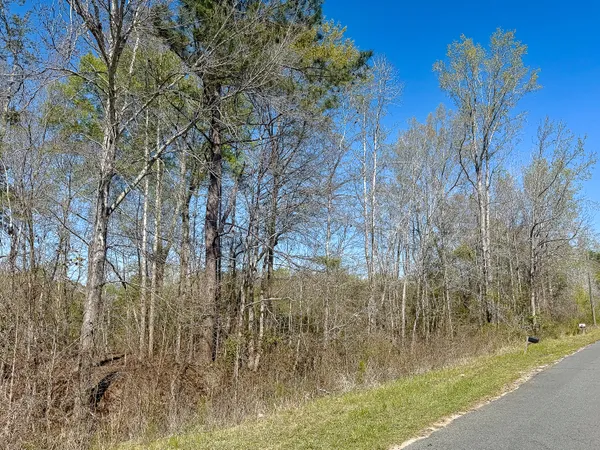 $39,500 | 0 South Locust Avenue, Denmark, SC 29042