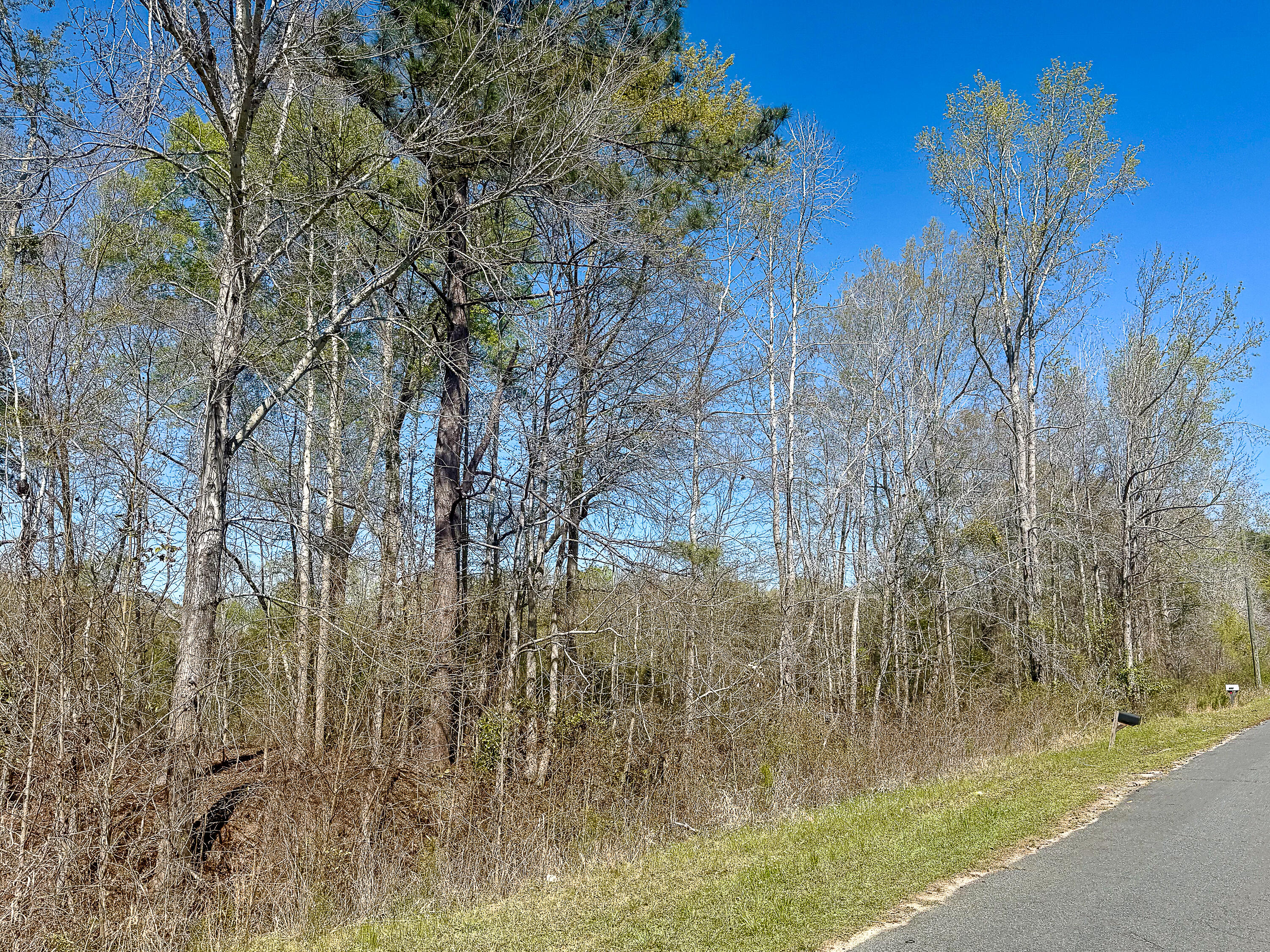 0 South Locust Avenue Denmark, SC 29042 - Photo 2 of 9 Compass South Land Sales South Carolina