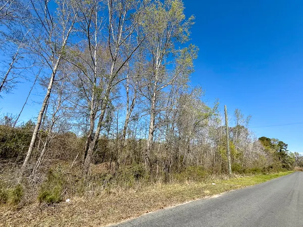 $39,500 | 0 South Locust Avenue, Denmark, SC 29042