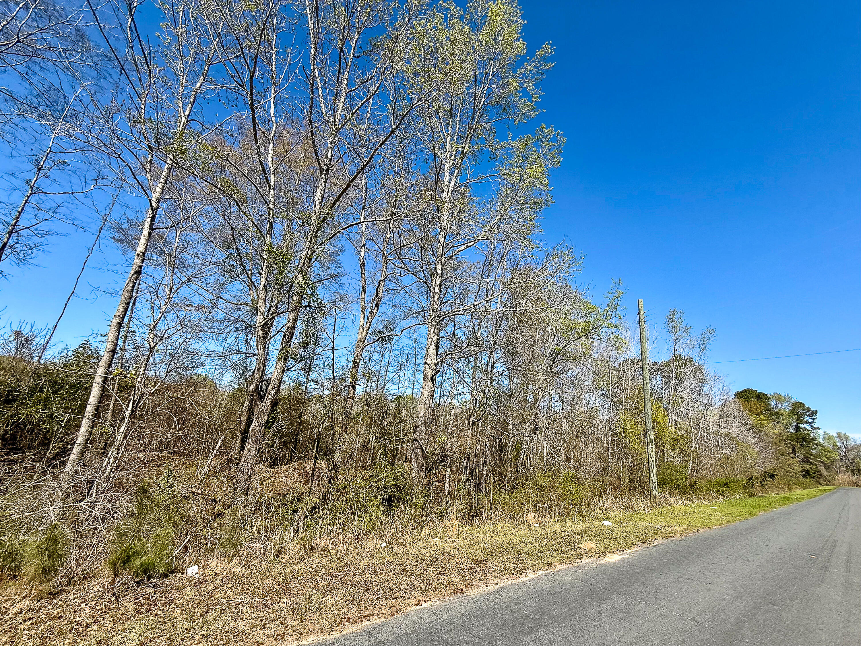 0 South Locust Avenue Denmark, SC 29042 - Photo 3 of 9 Compass South Land Sales South Carolina