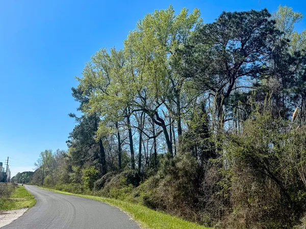 $39,500 | 0 South Locust Avenue, Denmark, SC 29042