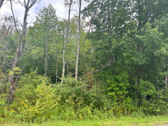0 West Etna Road Etna, ME 04434 - Photo 2 of 5 IMG_5229