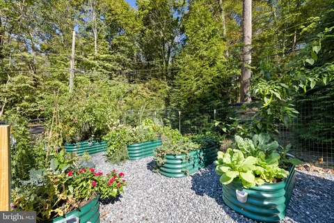 a bunch of flowers in a garden