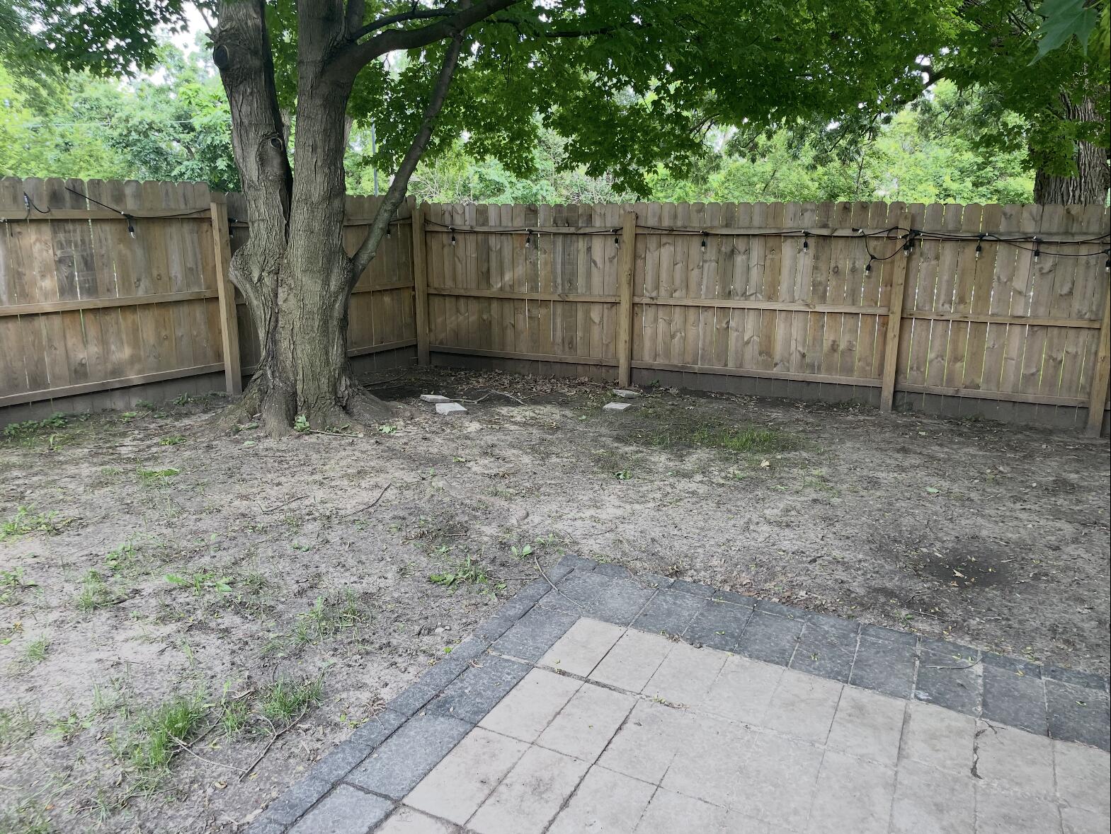 516 Riverside Drive Fort Atkinson, WI 53538 - Photo 16 of 17 Backyard