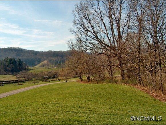 Lot 2 Buck Ridge Road, Unit 2 Clyde, NC 28721 - Photo 1 of 24 a view of outdoor space with mountain view