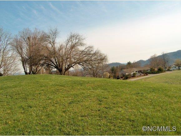 Lot 2 Buck Ridge Road, Unit 2 Clyde, NC 28721 - Photo 2 of 24