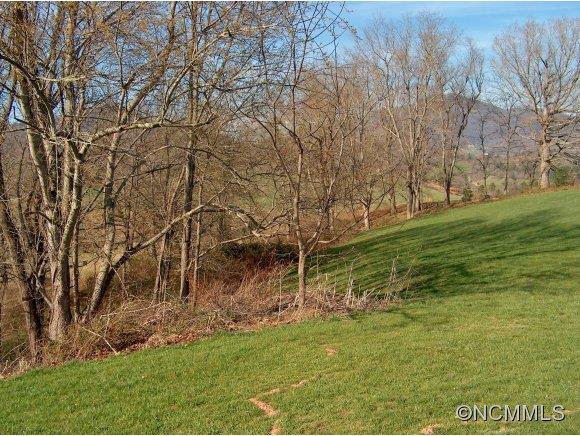 Lot 2 Buck Ridge Road, Unit 2 Clyde, NC 28721 - Photo 11 of 24 a backyard of a house with lots of green space