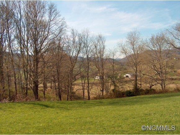 Lot 2 Buck Ridge Road, Unit 2 Clyde, NC 28721 - Photo 12 of 24 a view of a field with trees in the background