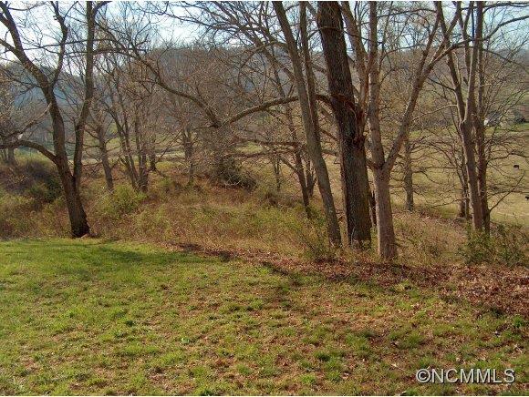 Lot 2 Buck Ridge Road, Unit 2 Clyde, NC 28721 - Photo 13 of 24 a backyard of a house with lots of green space