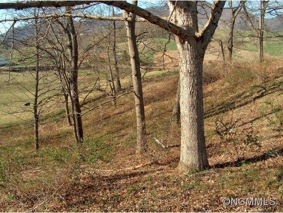 Lot 2 Buck Ridge Road, Unit 2 Clyde, NC 28721 - Photo 14 of 24 a backyard of a house with lots of green space